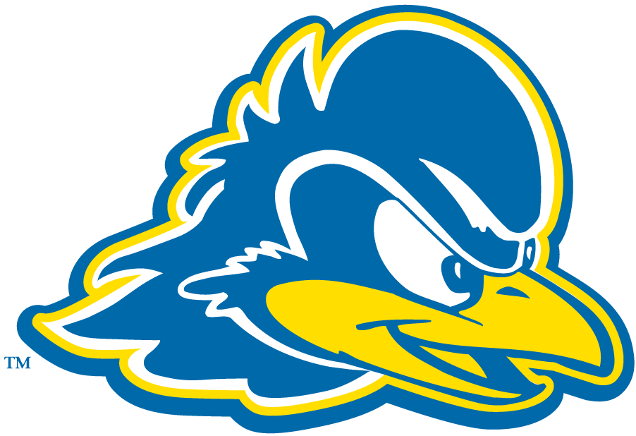 Delaware Blue Hens 2009-Pres Secondary Logo iron on transfers for fabric